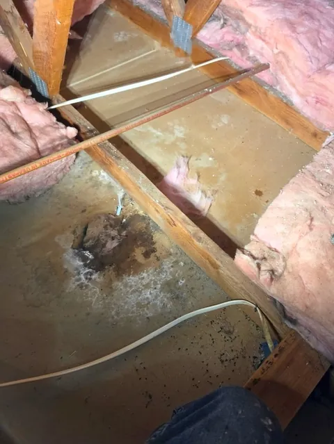 Water stain on the attic floor between the ceiling joists, with the insulation pulled back